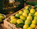 Anwar Ratol Mangoes — Premium Box (2.7-3kg)